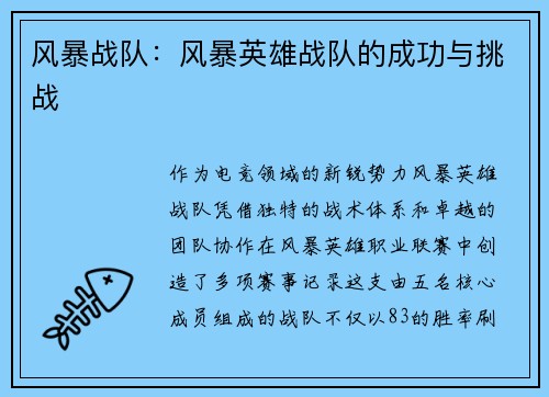 风暴战队：风暴英雄战队的成功与挑战